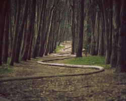 Optional image title