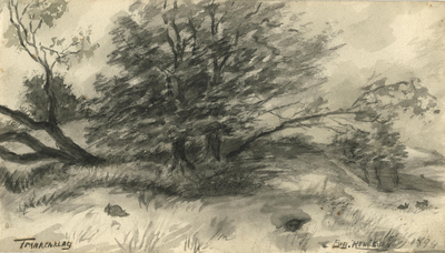 kl. A 1242., 1894