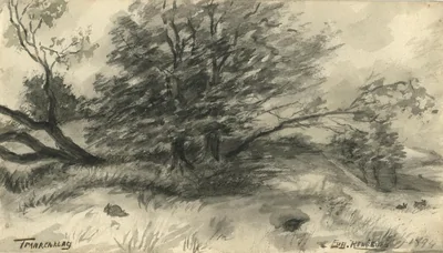 Untitled, 1894