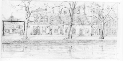 Z. Oost Buitensingel-de zogenaamde Uileboomen