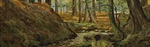 Bosbeek (A forest brook)